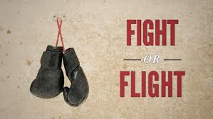Guest Blog Post from Fight or Flight Survival: “Survival of the Fittest”